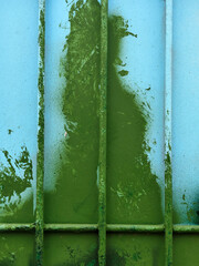 Coloured texture