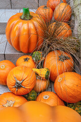 Pumpkins for fall decorations, creating a festive autumn atmosphere.