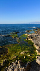 Coastal landscape with rocky shore and green seaweed. Clear blue sky above the ocean. Natural scenery ideal for travel and nature themes.