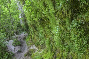 Rinnende Mauer Steyr Fluss Molln