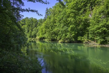 Steyr Fluss Molln Obersterreich Sterreich