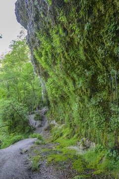 Rinnende Mauer am Steyr Fluss, Molln, Ober&ouml;sterreich, &Ouml;sterreich