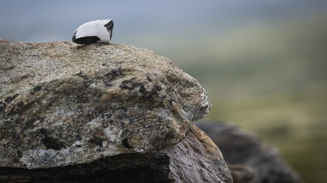 Von einem Pilger abgelegter Stein, Steinpyramide, Allmannr&oslash;ysa, Pilgerweg Olavsweg, Olavsleden oder Pilgrimsleden, Dovrefjell, Norwegen