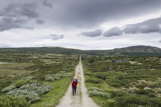 Pilger mit Rucksack und Wanderst&ouml;cken auf dem historischen Kongsvegen oder K&ouml;nigsweg, der &uuml;ber das Fjell f&uuml;hrt, bew&ouml;lkter Himmel, Pilgerweg Olavsweg, Olavsleden oder Pilgrimsleden, Dovrefjell, Norwegen