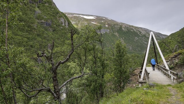 Pilger mit Rucksack und Regenschutz auf einer Holzbr&uuml;cke inmitten einer bewaldeten Berglandschaft, historischer Kongsvegen oder K&ouml;nigsweg, Pilgerweg Olavsweg, Olavsleden oder Pilgrimsleden, Dovrefjell, Norwegen