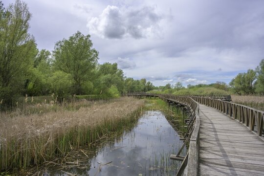 Jetty in the Kopacki Rit nature park Park, Kopačevo, Osijek-Baranja County, Croatia