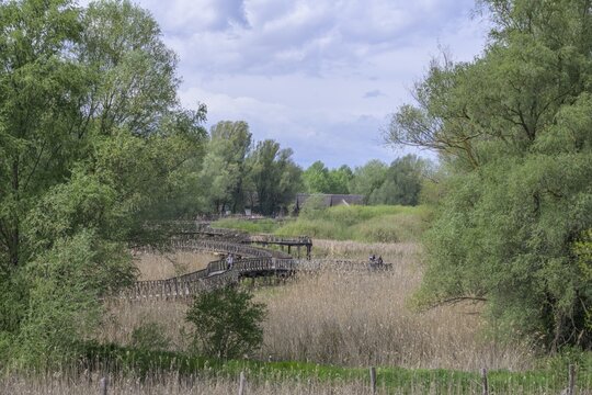 Jetty in the Kopacki Rit nature park Park, Kopačevo, Osijek-Baranja County, Croatia