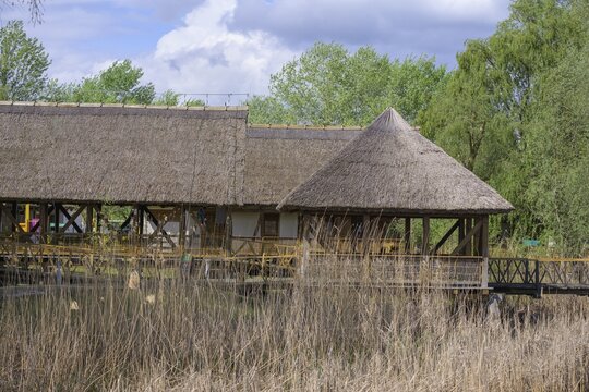 Jetty in the Kopacki Rit nature park Park, Kopačevo, Osijek-Baranja County, Croatia