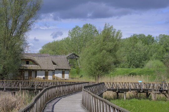 Jetty in the Kopacki Rit nature park Park, Kopačevo, Osijek-Baranja County, Croatia
