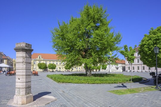 Pillory on the main square of Tvrđa, Osijek, Osijek-Baranja County, Croatia