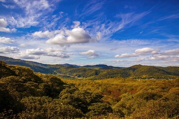Naklejka premium The Historical Background of the Island