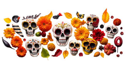 Day of the Dead vibrant skulls and flowers on transparent background