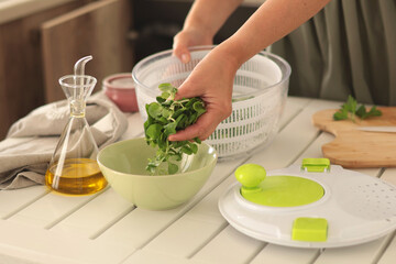 Woman put dried valerian leaves into bowl from dryer. Healthy eating and foods. Mediterranean diet. 