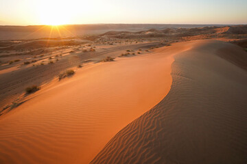 Wahiba Sands, beautiful orange dunes at sunrise or sunset, Oman