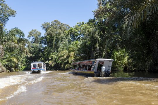 Two boats with tourists, Rio Suerte river in the rainforest, dense vegetation, Tortuguero National Park, Costa Rica
