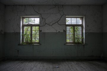 An eerie deserted home featuring cracked walls and overgrown window plants