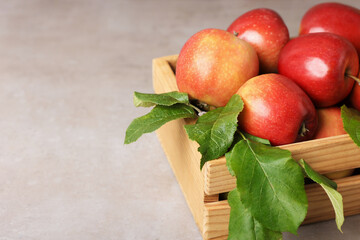 Fresh ripe apples with green leaves in wooden crate on grey table, closeup. Space for text