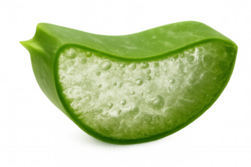 Fresh aloe vera slice showing succulent gel, natural skincare ingredient for health and beauty, transparent background