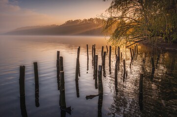 Wooden poles mirrored on a calm water surface during sunset.