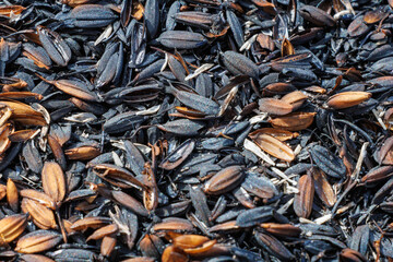 新米の脱穀した籾殻を燃やして炭化したもの