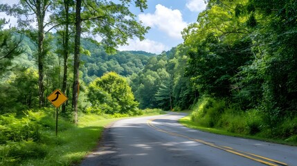 Obraz premium Scenic winding road through lush green forest landscape with clear blue sky and sunlight