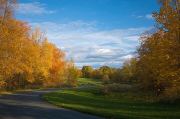 Fototapeta premium Autumn pathway through the forest with vibrant golden foliage beneath a clear blue sky