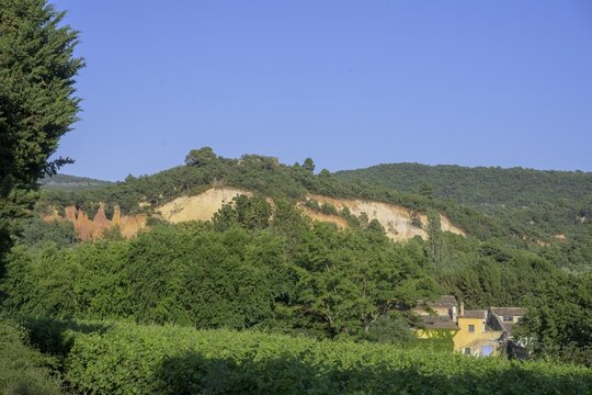 Vines and house behind them View to the ochre rocks Colorado de Rustrel, Rustrel, D&eacute;partement Vaucluse, France