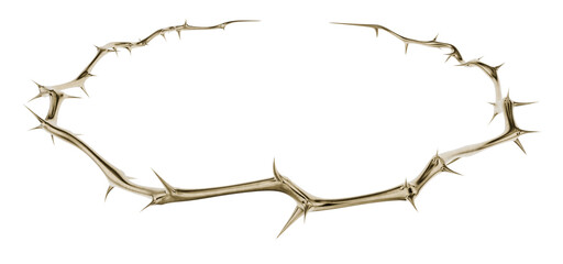 Fototapeta premium This sculptural golden thorn circle is a bold design element. Its aggressive form is a striking symbol for contemporary religious and gothic art.