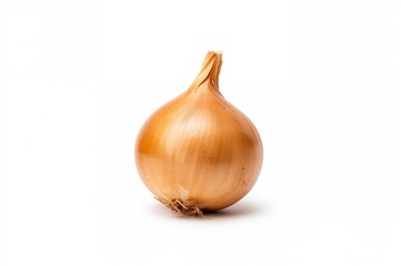 Isolated onion bulb on a white background with clipping path. Set.