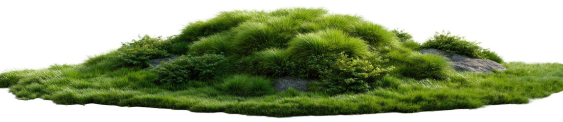 Grassy Mound Isolated