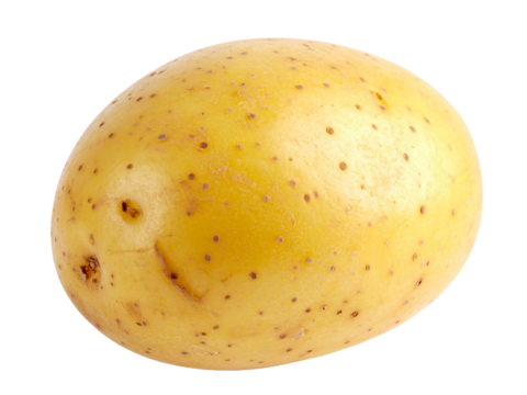 じゃがいも　透過背景