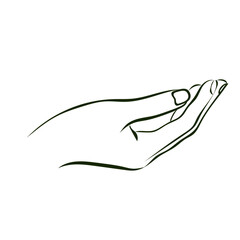 Illustration of a vector outline of a hand