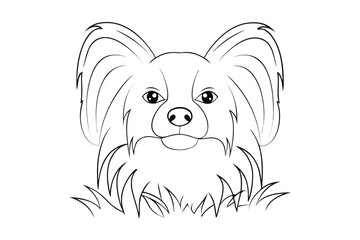 A cartoon dog with floppy ears peeking out from grass vector