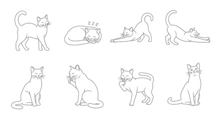 Collection of eight artistic pencil sketch drawings of cats in various poses vector
