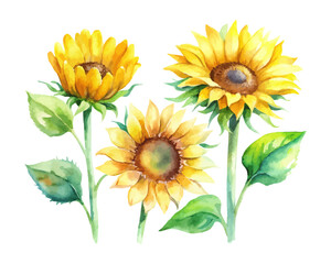 Naklejka premium Sunflower Watercolor Clipart Set for Summer Prints 