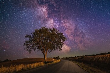 Celestial bodies shining in the night sky