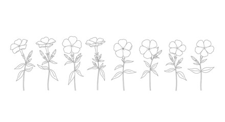 Elegant hand-drawn rose line art collection delicate blossoms and stems on white surface vector