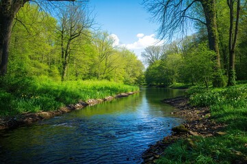 Obraz premium Little stream mirroring the surrounding woodland