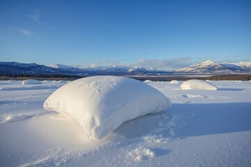 Obraz premium Fresh snowfall blankets the wilderness with pristine white