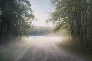 Obraz premium Forest path and pond shrouded in summer haze