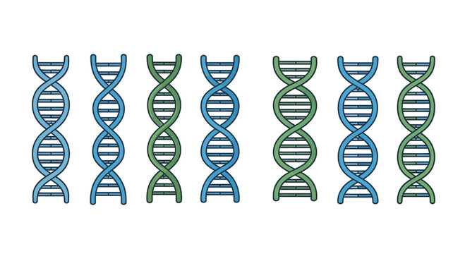 Multiple dna double helix strands representing genetics and biological science research vector