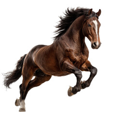 Obraz premium brown horse png leaping horse png jumping horse png stallion png equine png midair jump png animal png transparent background image
