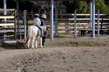 子馬で乗馬体験