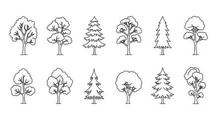 Hand drawn tree collection natural element sketch isolated nature outdoor botanical art vector