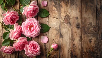Beautiful pink roses on rustic wooden background, perfect for romantic and natural themes.