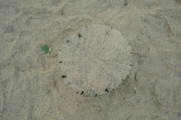 Tree stump on playground used as seat or play element, surrounded by sand