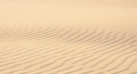 Obraz premium Desert sand patterns