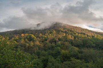 Naklejka premium Mountain covered in spring leaves with swirling clouds wrapping the hill and colorful trees below