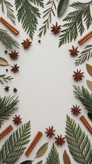 Christmas frame with spices isolated on white background
