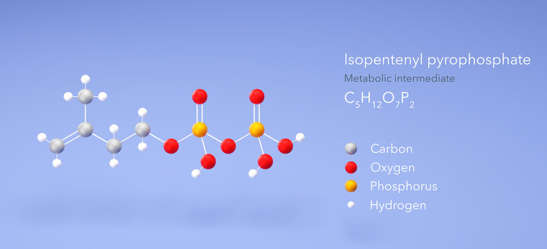 isopentenyl pyrophosphate molecule, molecular structure, isoprenoid precursor 3d model, Structural Chemical Formula and Atoms with Color Coding